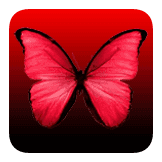 Image Result For Follow Red On Tiktok